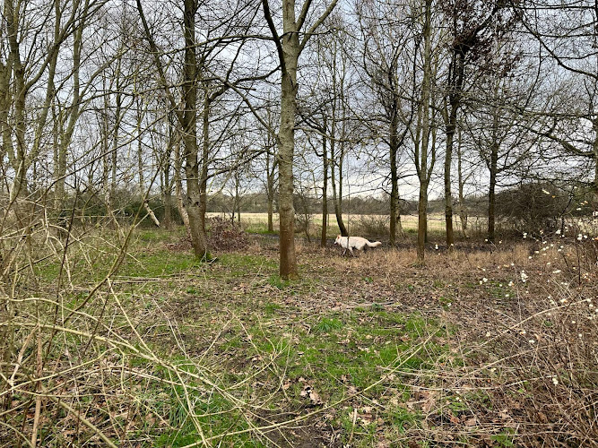 Stanton Waters Woodland Walks