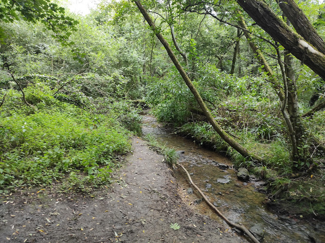 Peatmoor Community Woodland