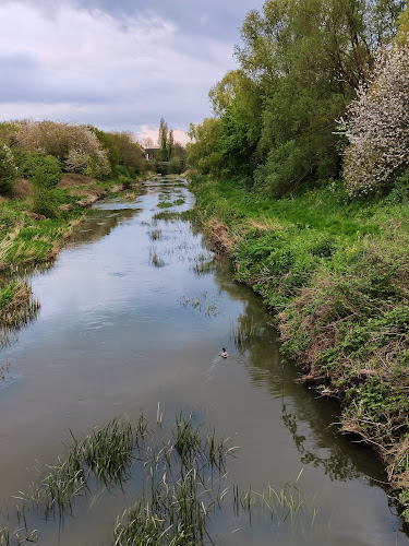 Roding Valley Park