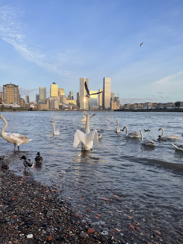 Stepney Beach