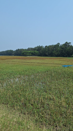Mannania Lutfia West Charia Hafizia Madrasa (মান্নানিয়া লুৎফিয়া পশ্চিম চরিয়া হাফিজিয়া মাদ্রাসা)