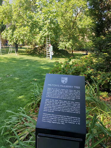 Fellows' Garden