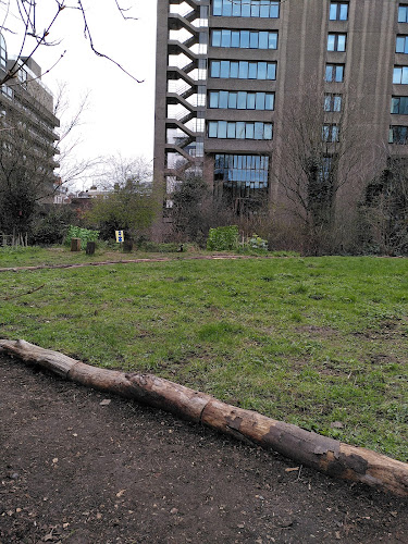 Barbican Wildlife Garden
