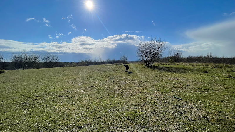 Swindon Viewing Hill at Shaw Forest Park