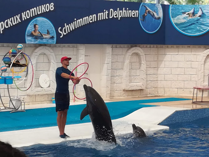 Aksu Dolphinarium