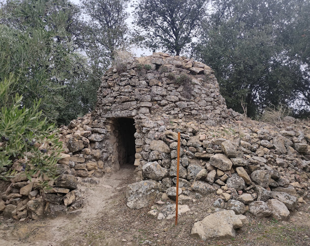 Caracol de Los Arenales (I)