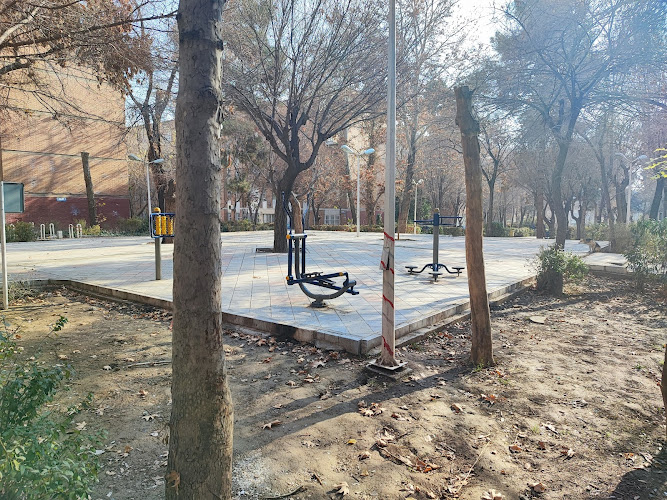 Cardi playground