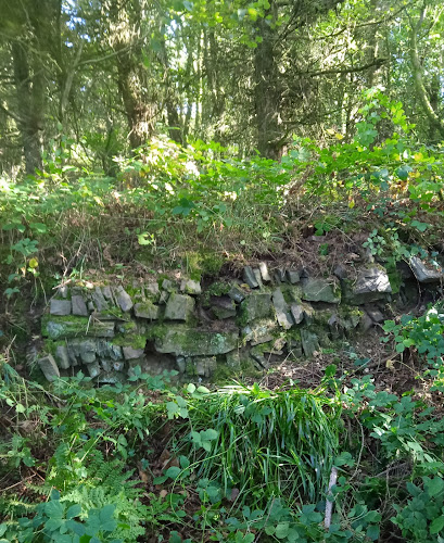 Roman wall fortress