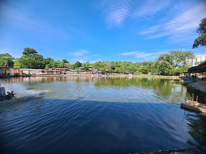 Wu Ping Fishing Pond (Kolam Pancing Wu Ping)