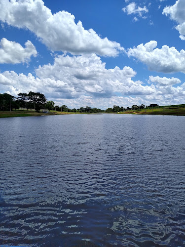Municipal Lake (Lago Municipal)
