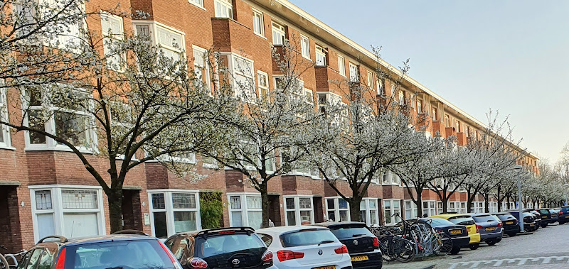 River neighborhood (Rivierenbuurt)