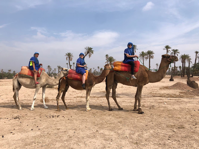 Marrakech Budget Tours