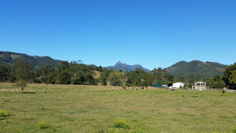 Chillingham Community Association
