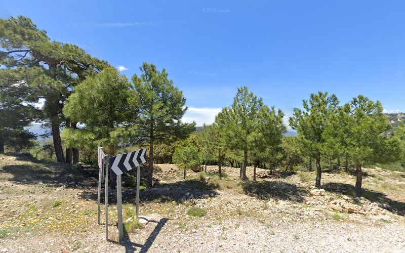 Ruins of Martín Sánchez Forestry House (Ruinas Casa forestal Martín Sánchez)