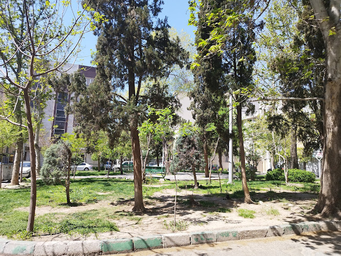 Square 75