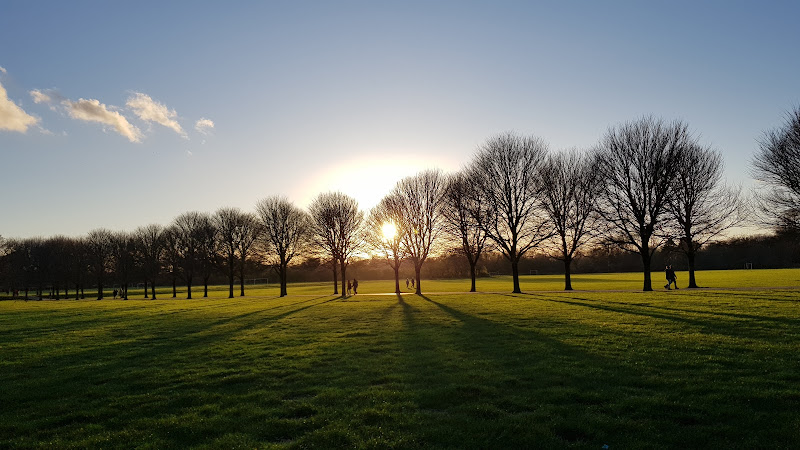 Pontcanna Fields
