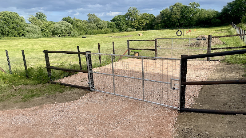 K9 paws and play dog field