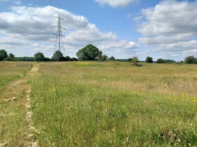 Torpel Manor Field Nature Reserve