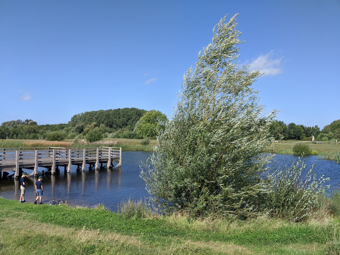 Byron's Pool LNR