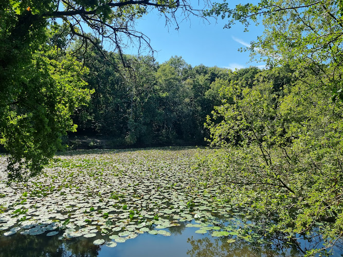 Ashtead Park Nature Reserve
