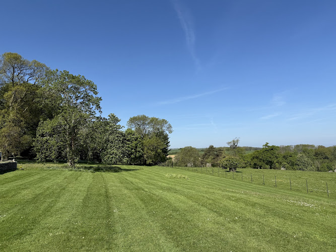 North Devon Tree & Garden Services
