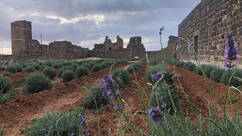 Umm el-Jimal UNESCO World Heritage Site
