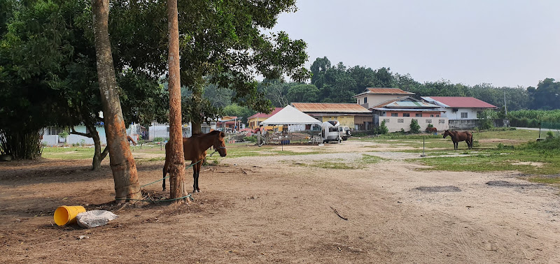 Marbath Stable