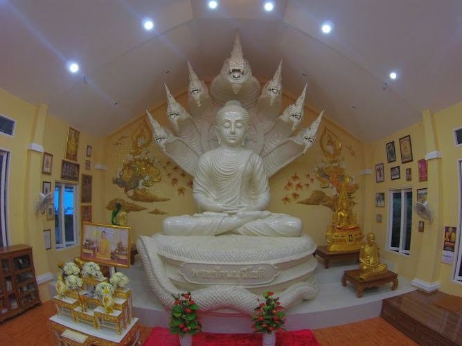 Free Kitty Pu (Kuti Luang Pu)