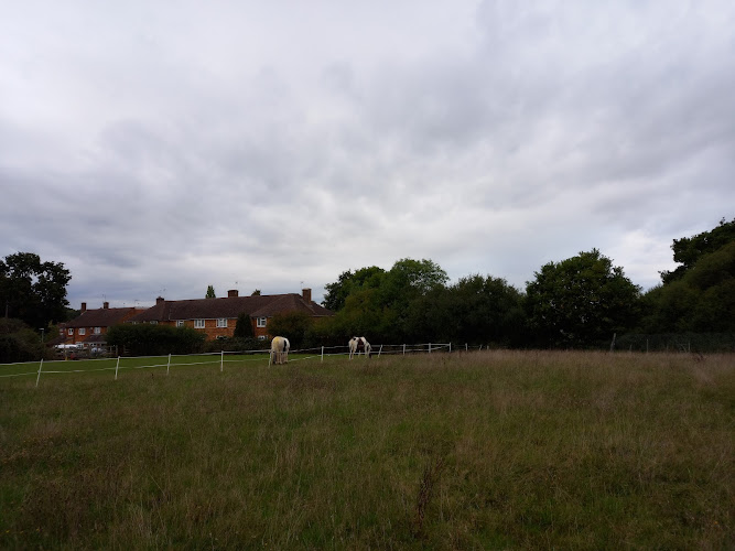 Prestwick Road Meadows