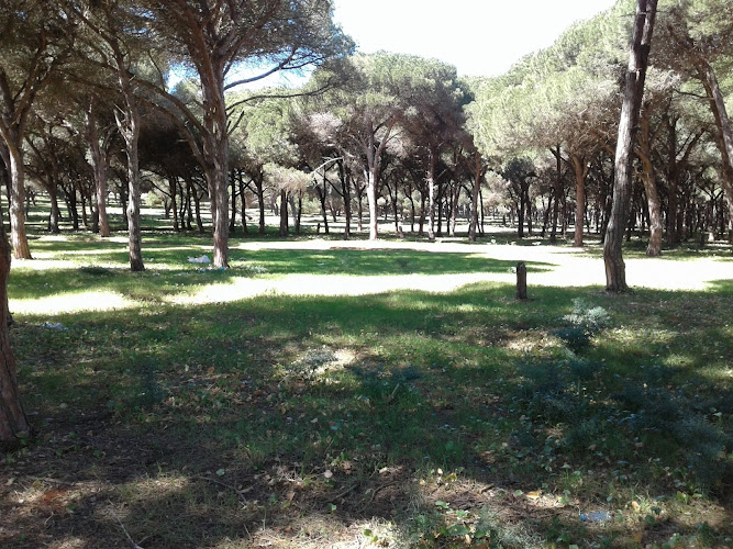 The Equestrian Garden (La Hipica Garden)