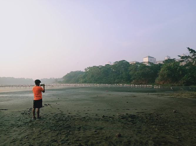 Thane Creek Flamingo Sanctuary