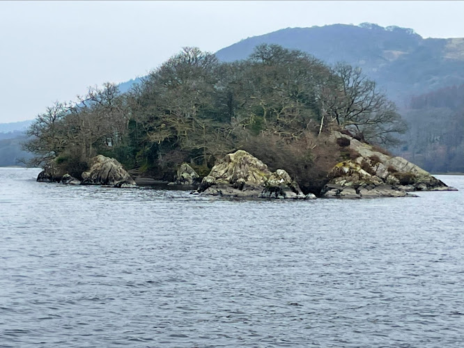 Wild Cat Island