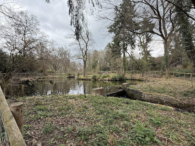Duck Island