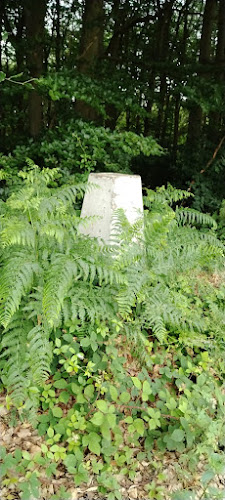 Hickleton Spring Trig point