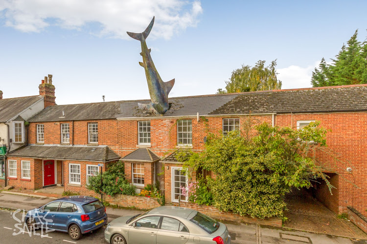The Headington Shark