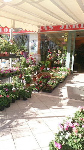 Jericó Purullena Florists | 24-hour Flower Delivery (Floristerías Jericó Purullena | Flores a domicilio 24 h)
