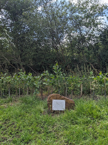 Memorial stone and plaqueThis Hedgerow is dedicated of Peter Jacqueshis wife Barbara Wharton