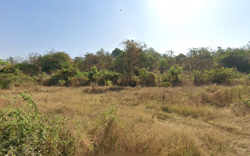Dhanak Bai Mataji Mandir