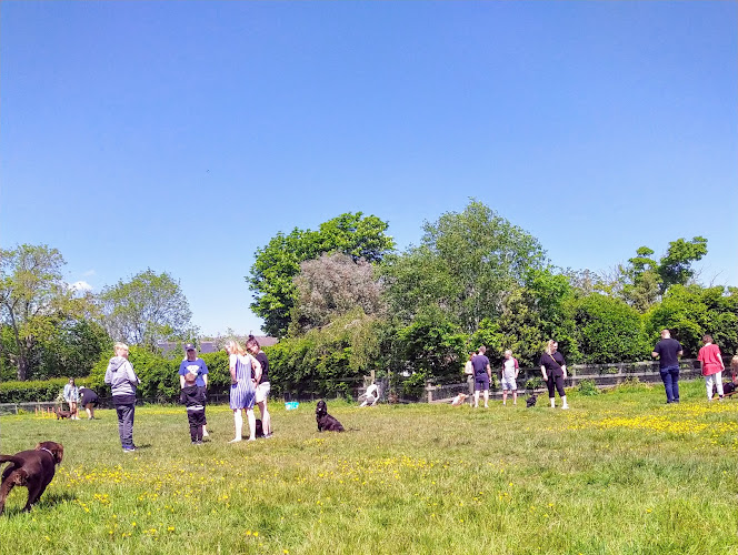 Lytham Dog Fields