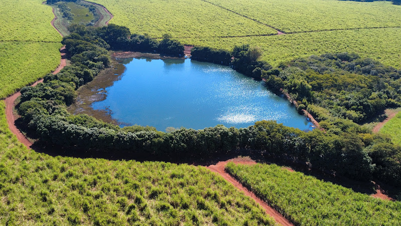 Tourist Dam (Represa Turística)