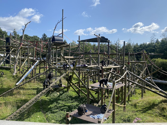 Monkey World