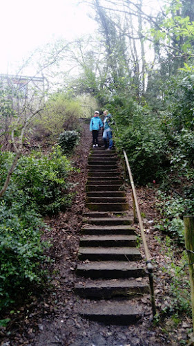 The Devil Steps