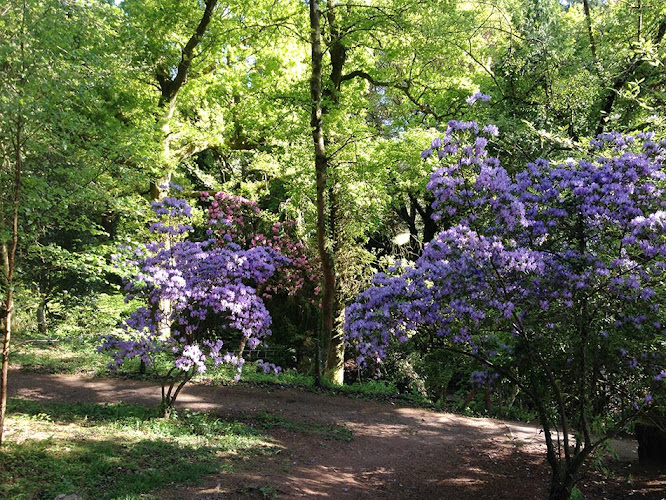 Cefn Onn Park (Parc Cefn Onn)