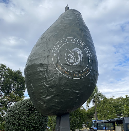The Big Avocado