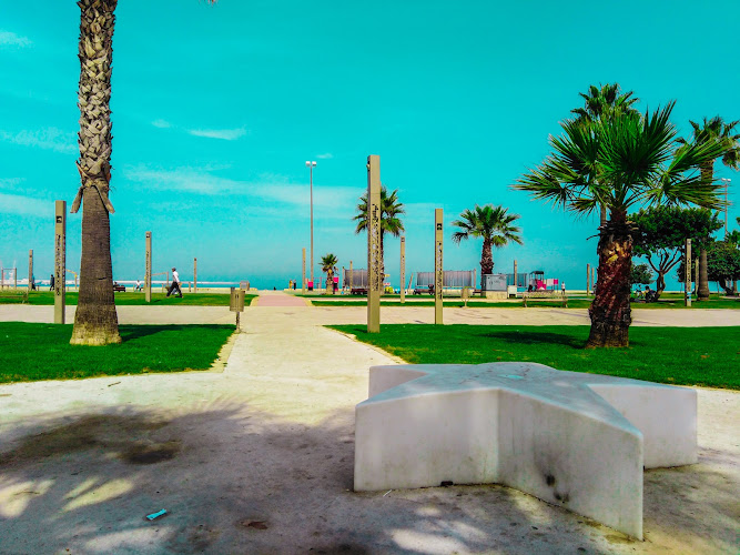 Tangier (Tangerطنجة)