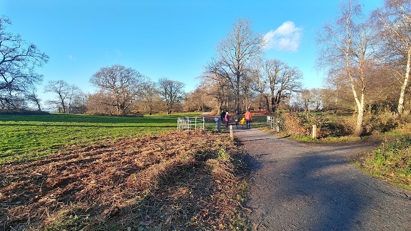 Shorne Woods Country Park