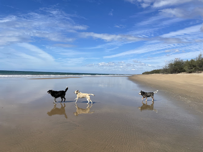 Baffle Creek Conservation Park