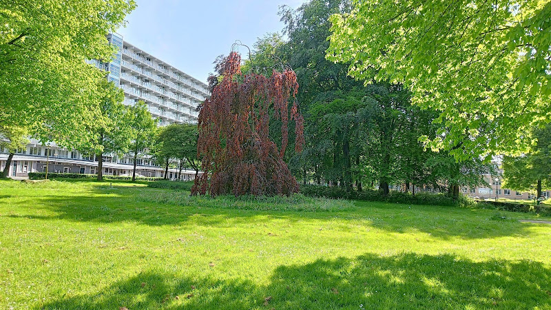 Monumental Ancestors Tree (Monumentale Voorouders Boom)