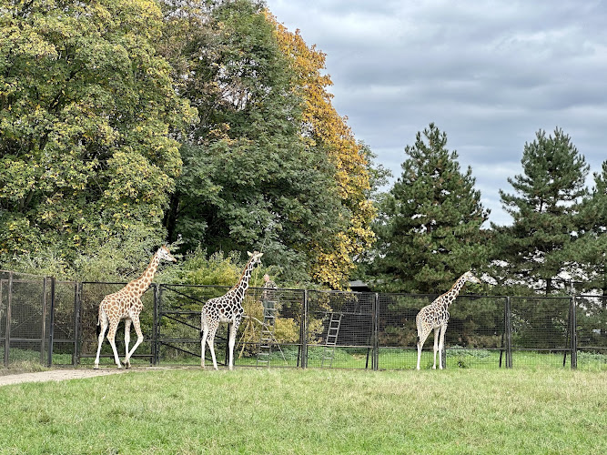 Rada Zoo