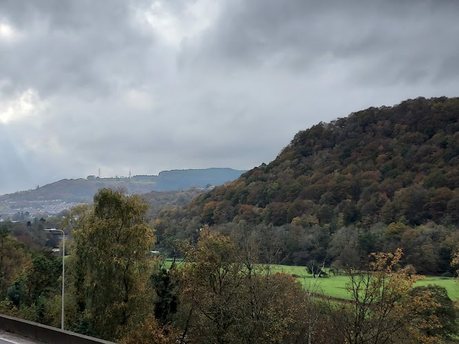 Cilfynydd Loop Line